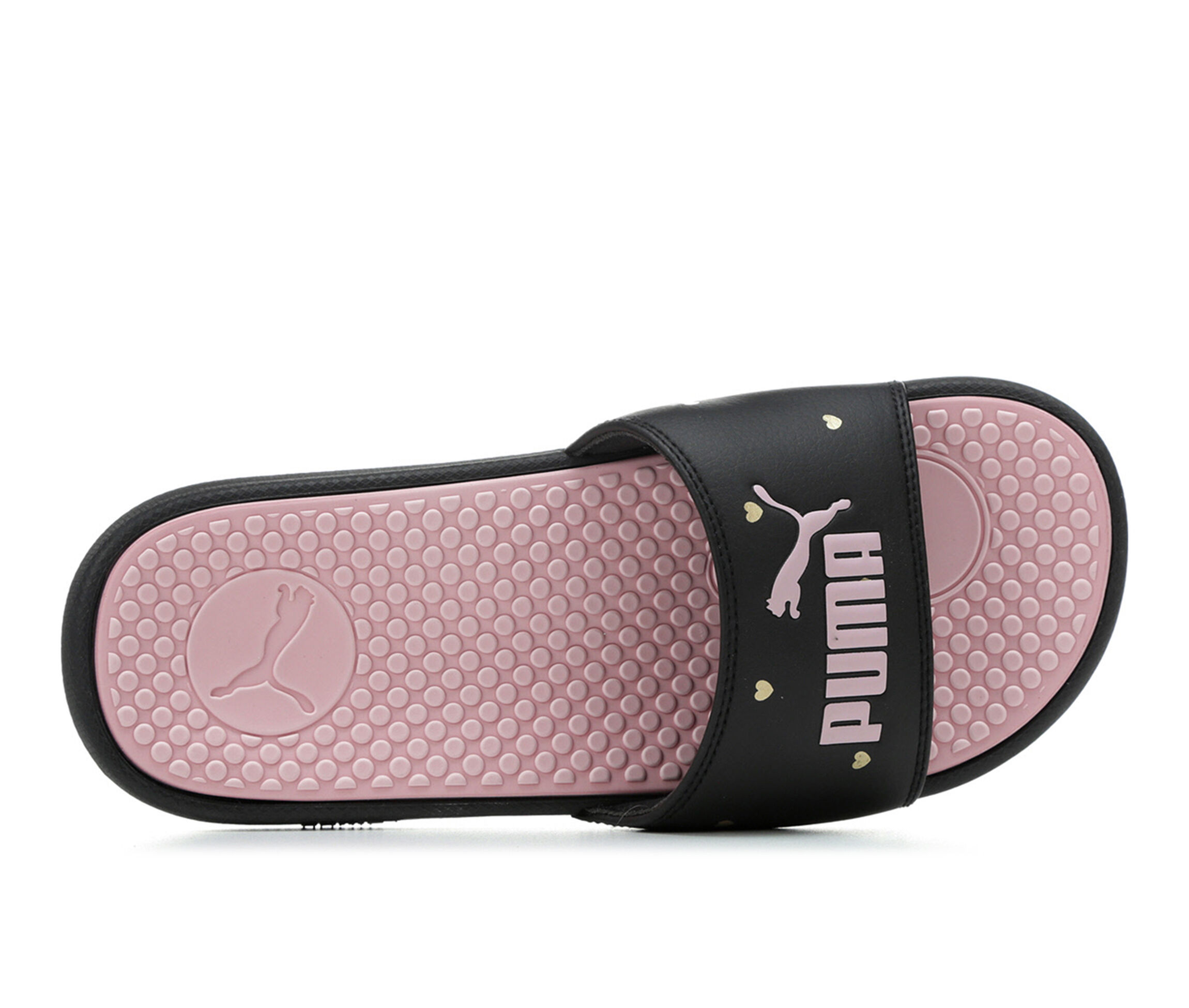 shoe carnival puma women's